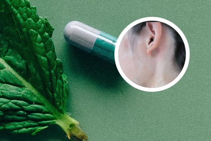 白癜风和肾肺有关系吗